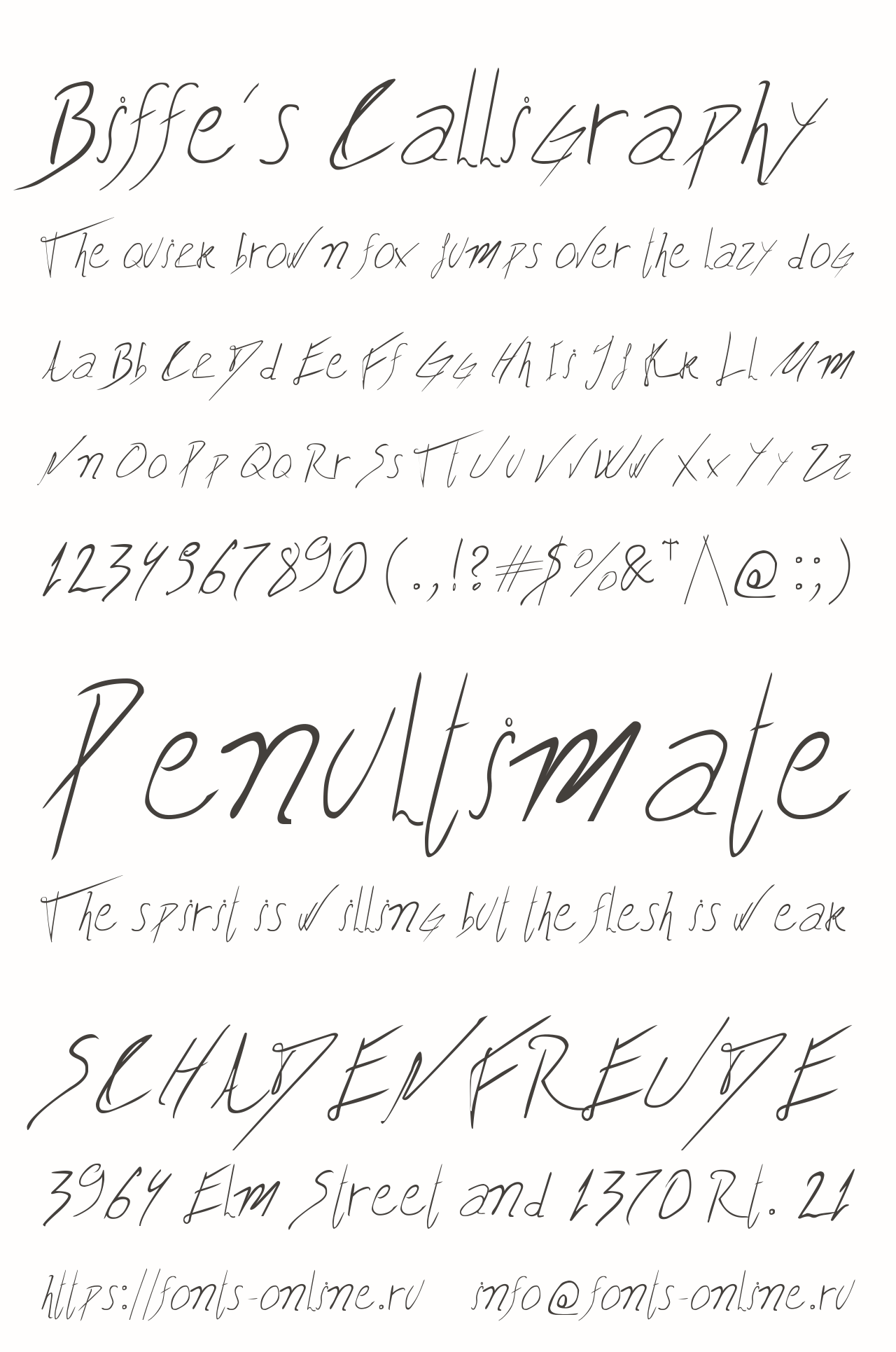 Biffe´s Calligraphy Free Font Download